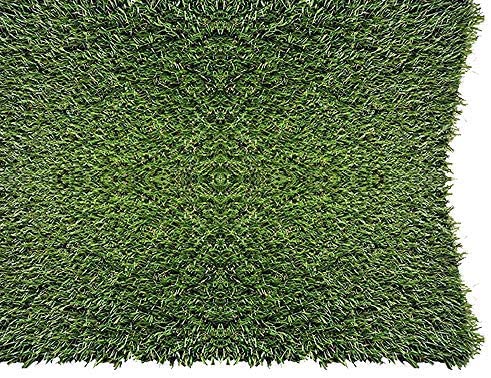 PZG 1 inch Artificial Grass Patch