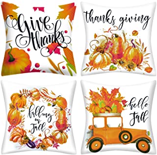 Thanksgiving Pillow Covers
