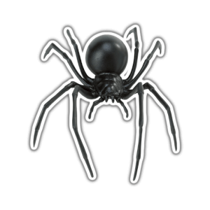 black spider PNG
