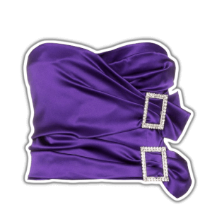 purple top PNG